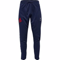 ASTRALIS 21/22 LEGACY POLY PANTS K
